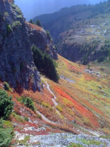 Autumn colors along trail to Tomyhoi